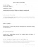 GUION DE OBSERVACIÓN PASIVA