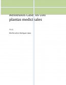 Hoja de eucalipto y limón. Se pone a hervir en agua varias hojas o ramos de eucalipto con el zumo de un limón