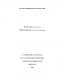 Modelo de localizacion