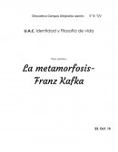Esta obra nos habla acerca de una hombre, que recibe el nombre de Gregorio Samsa; el cual sufre de grandes