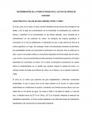 Determinantes de la productividad en el cultivo de arroz en cascara