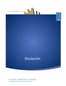 El aborto se dispara en ciudades de China