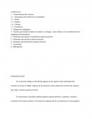 Factores que limitan el hábito de estudio en el hogar y cómo influyen en el rendimiento en la asignatura de matemáticas