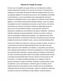 Reporte de Trabajo de Campo