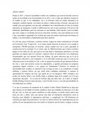 ¿Hasta Cuándo? Hasta hoy solo se han construido 4.4% de los 340 kilómetros de las ciclorutas