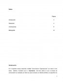 Ensayo sobre comunicación organizacional