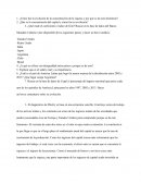 ¿Cómo fue la evolución de la concentración de la riqueza y por qué se da este fenómeno?