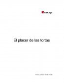 Estrategias de precio - plan de precio y oportunidad de negocio