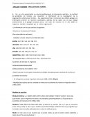 Muertos en Accidentes de Tránsito (Por cada millón de vehículos)