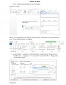 Uso de las herramientas de word