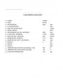 CARACTERISTICAS DEL POZO