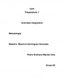 Actividad integradora - Actividad integradora. Que veo, Que no veo, Que infiero