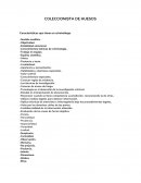 COLECCIONISTA DE HUESOS RESUMEN