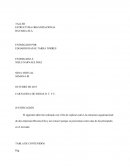 TALLER ESTRUCTURA ORGANIZACIONAL