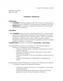 VITAMINAS Y MINERALES CONCEPTOS