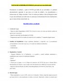 PAUTAS DE AUDITORIAS INTERNAS