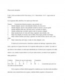 Observación sistemática