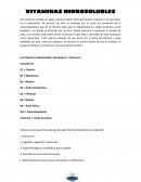 TODO VITAMINAS - BIOQUIMICAMENTE