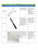 Permiten la sujeción de diversos aparatos en los montajes experimentales