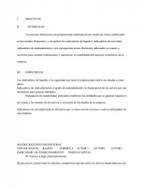 MATRIZ RAZONES FINANCIERAS. Página 1