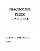 Practico Nº3: Tejido Conjuntivo