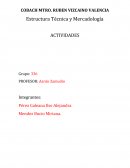 SEGMENTO DE MERCADO . Estructura Técnica y Mercadología