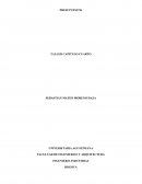 TALLER CAPITULO CUARTO PRESUPUESTOS