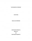 PLANTEAMIENTO DE PROBLEMA DE LAS NIIF