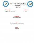 La Mezcla de la Mercadotecnia