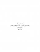 Fábrica de Tejidos Artesanales La Serena