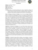 Trabaje una interpretación filosófica para criticar el fundamento ontológico del SER AHÍ