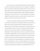 Diversidad funcional Pac 3 Nota B