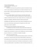 Correccion pelicula intensamente