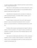 Los criterios de evaluación