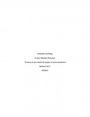 Técnicas de prevención de riesgos en sector productivo