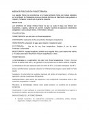 Medios Físicos en Fisioterapia