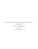 DIFERENCIAS ENTRE LOS COSTOS DIRECTOS E INDIRECTOS DE UN INCIDENTE