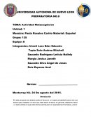 Actividad De Metacognicion en base a poema