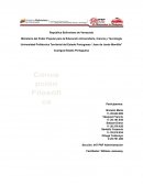 Concepciones filosóficas ¿De dónde vengo? y ¿Adónde voy?