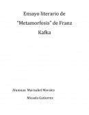 Ensayo Literario de Metamorfosis de Franz Kafka