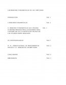 LOS DERECHOS FUNDAMENTALES DE LOS IMPUTADOS