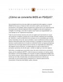 ¿Cómo se convierte BIOS en PSIQUE?