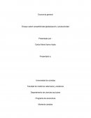 Ensayo sobre competitividad globalización y productividad