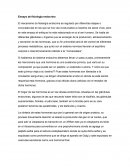 Ensayo de fisiología endocrina
