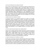 ¿Cómo nace la declaración de los derechos humanos?