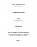 SOLUCIÓN COMPRENSIÓN LECTORA