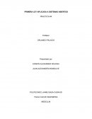 PRIMERA LEY APLICADA A SISTEMAS ABIERTOS-INFORME