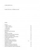 ESTRUCTURA DE LA NOMENCLATURA MODULAR