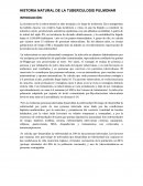 HISTORIA NATURAL DE LA TUBERCULOSIS PULMONAR
