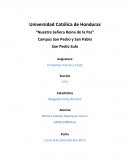 La Diócesis de San Pedro Sula